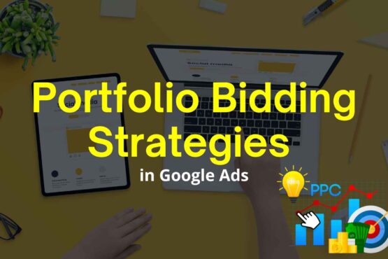 Portfolio Bidding Strategies in Google Ads
