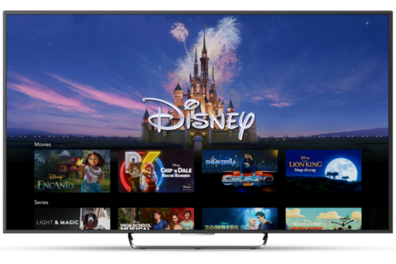 disneyplus.com/begin