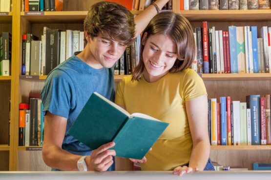 dissertation writing services