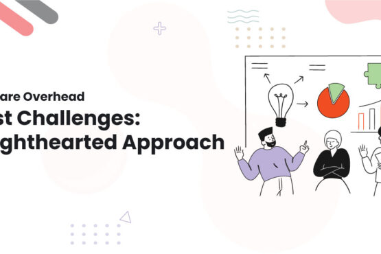 1 Software Overhead Cost Challenges A Lighthearted Approach