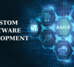 Custom Healthcare Software Development Company