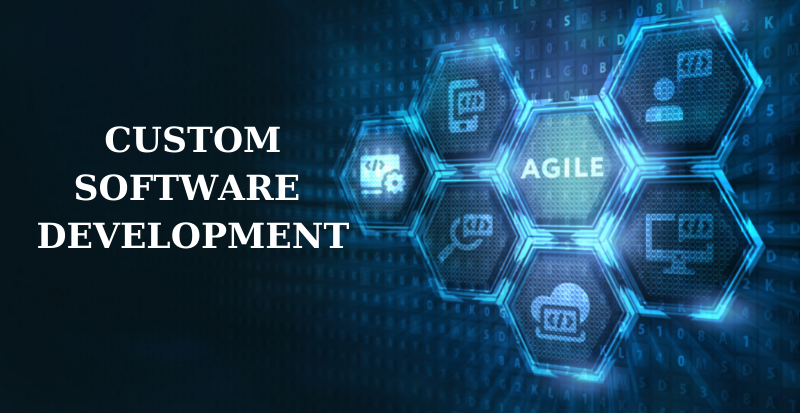 Custom Healthcare Software Development Company